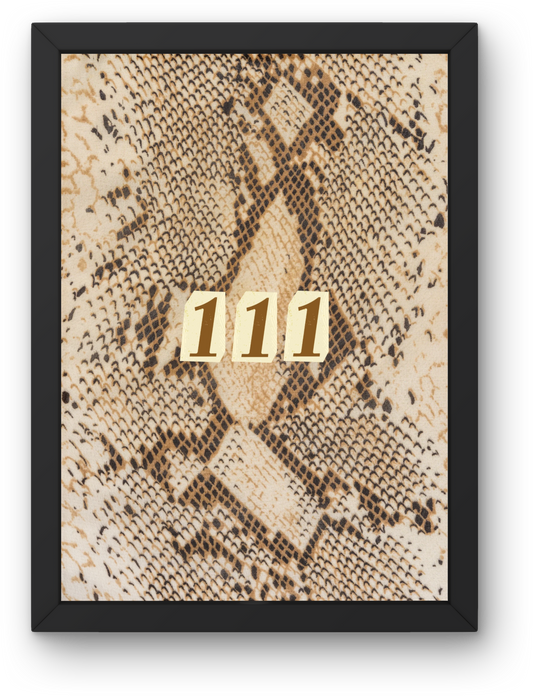 Angel Number 111 Snake Print
